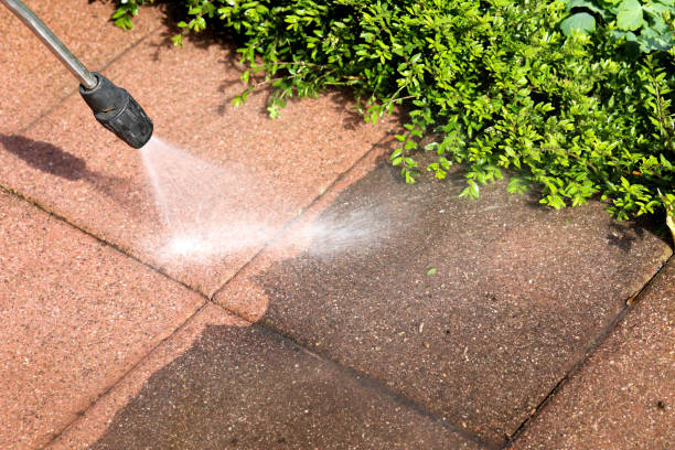 Best Best Pressure Washing Companies  in North Muskegon, MI